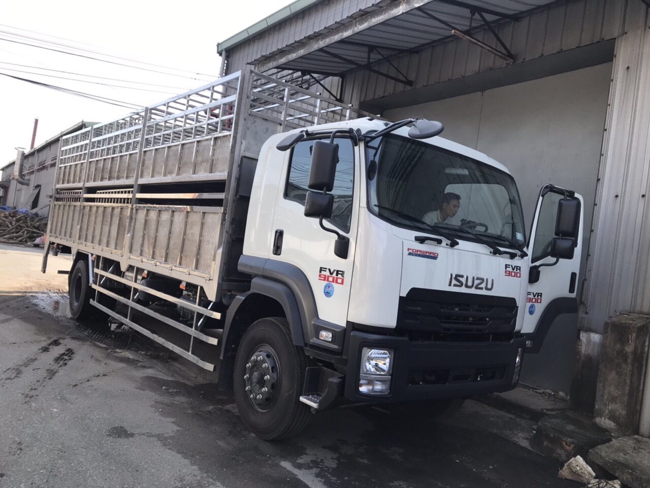 FVR GS1